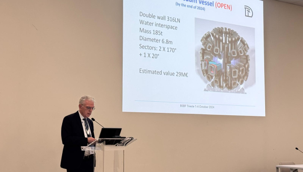 Professor Francesco Romanelli, President of DTT Scarl, Passes Away